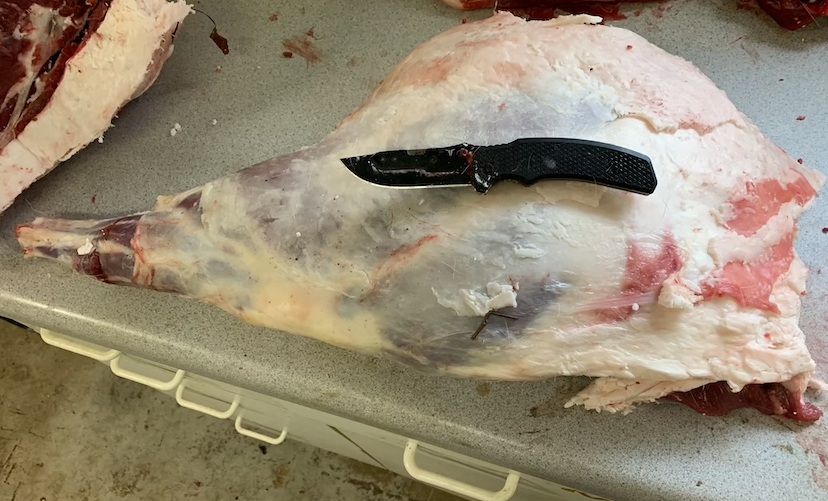 Rear Quarter Untrimmed Butchering a Wild Game Hind Quarter