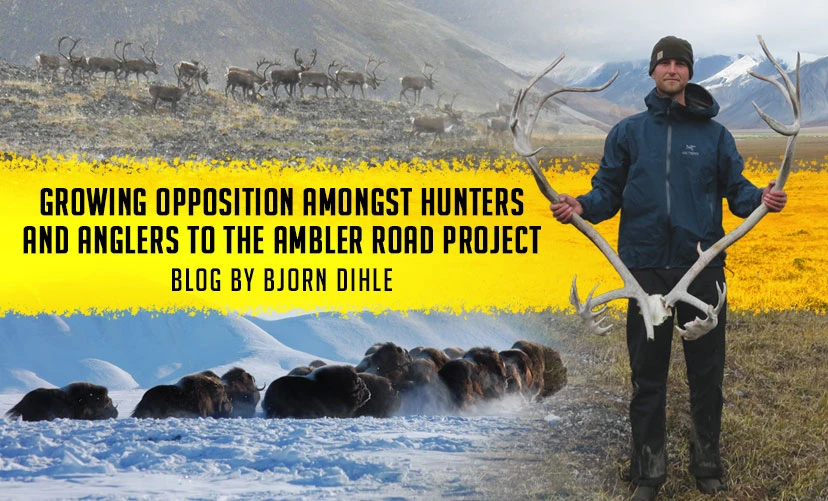 Ambler Road Project Opposition from Hunters & Anglers Hunt Alaska Magazine